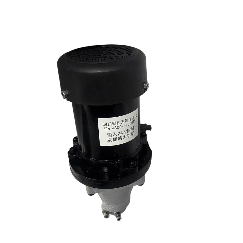12V-60V 500W-1500W Brushless O - Fishing Boat Outboard Motor 评论和价格