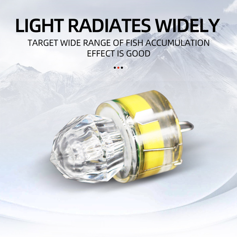 ShareShark 5pcs LED Fishing La - Fishing Boat Navigation Light 评论和价格
